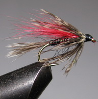���� ������ Wet fly 